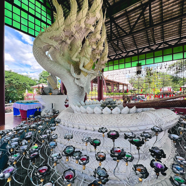 ม่อนพญานาคราช