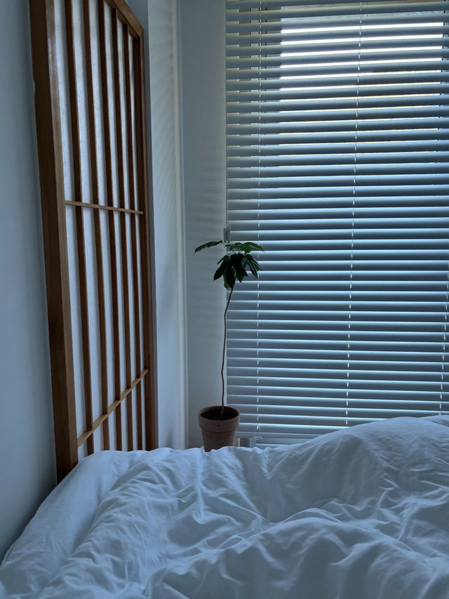 🌻🌙밀양숙소 힐링 가득공간 하우하