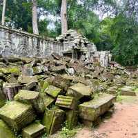 【カンボジア/シェムリアップ】自然と遺跡が融合した神秘的なタプローム寺院