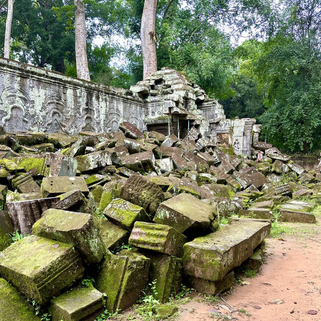 【カンボジア/シェムリアップ】自然と遺跡が融合した神秘的なタプローム寺院