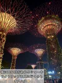 【シンガポール🇸🇬】マリーナベイエリアで絶対行くべき！おすすめスポット6選✨