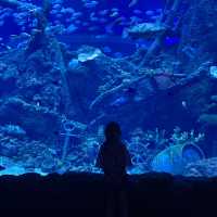 BX Sea Aquarium is Awesome