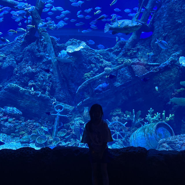 BX Sea Aquarium is Awesome