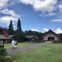 【ニュージーランド】マオリ族のショーがみれる激アツスポット🇳🇿