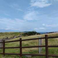 🇰🇷 Volcanic Vistas: The Journey Up to Seongsan Ilchulbong