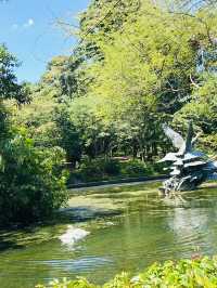 🇸🇬 Exploring the Singapore Botanic Gardens: A Green Oasis in the Garden City