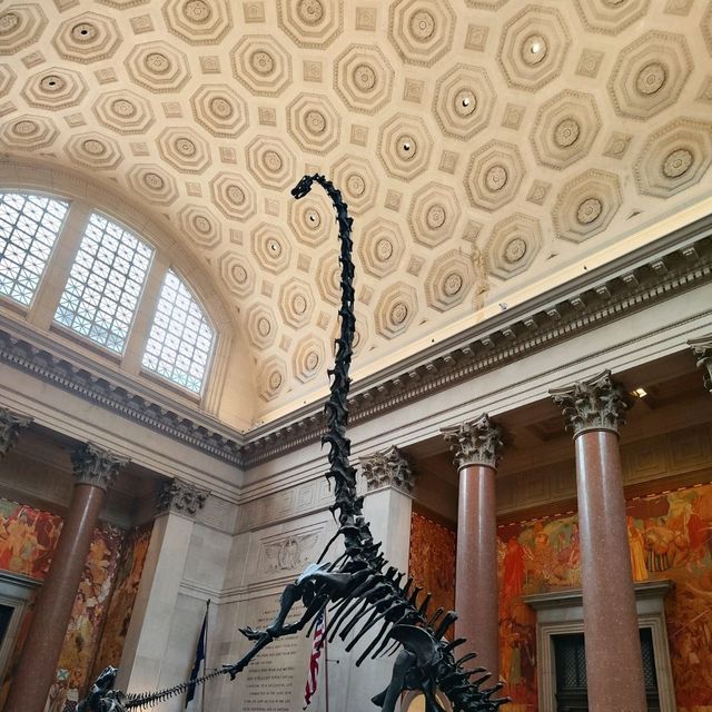 Discovering Wonders at the American Museum of Natural History 🦖✨