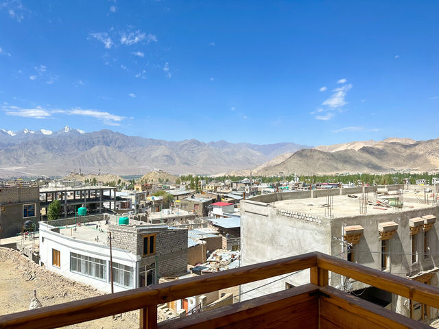 Hotel Hill Top โรงแรม Leh Ladake🇮🇳🌳