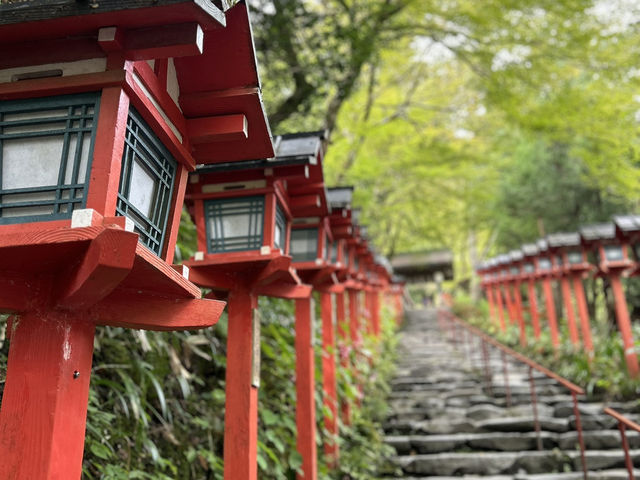 時間を気にせずのんびり京都旅