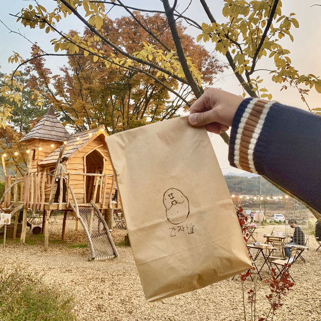 춘천가면 감자빵 필수🧡