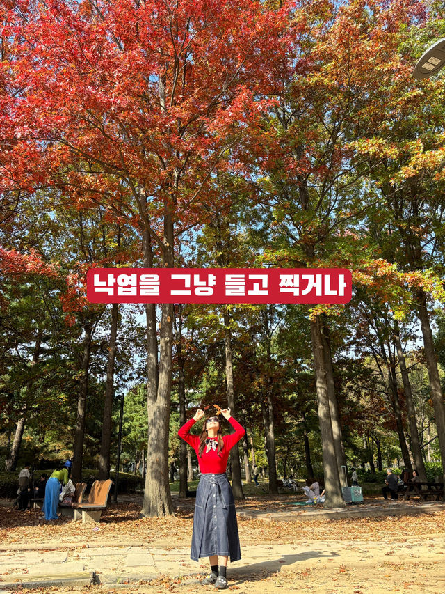 할미 주목👵요즘 MZ는 이렇게 사진 찍는다며?