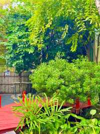 โมมิจิ คาเฟ่สไตล์ญี่ปุ่น