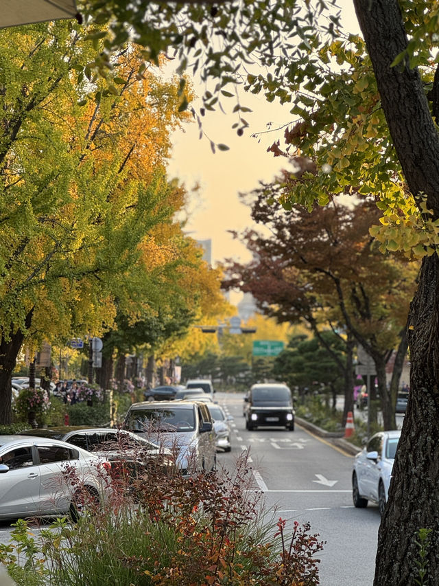 아늑한 테라스 카페, 서울 루프탑 카페