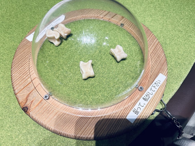 🏴‍☠️도쿄 국립박물관