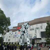 초보여행자의 도쿄 4박 5일 여행기 DAY4-5