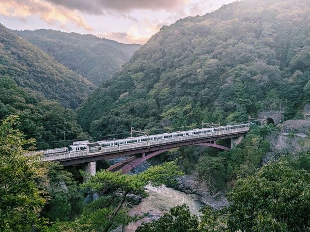 【嵯峨野トロッコ列車で保津峡散策！赤い橋と絶景を満喫】