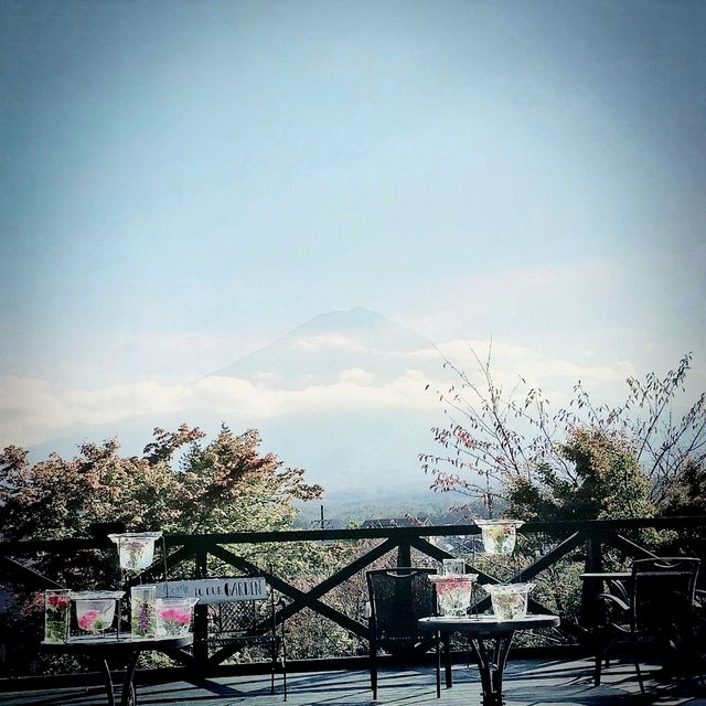 Mount Fuji Backdrop