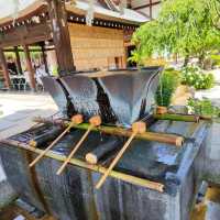 紅葉八幡宮～美麗神社⛩️✨