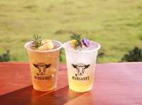 เที่ยวชมทุ่งคอสมอสที่ Margaret Private Villa 