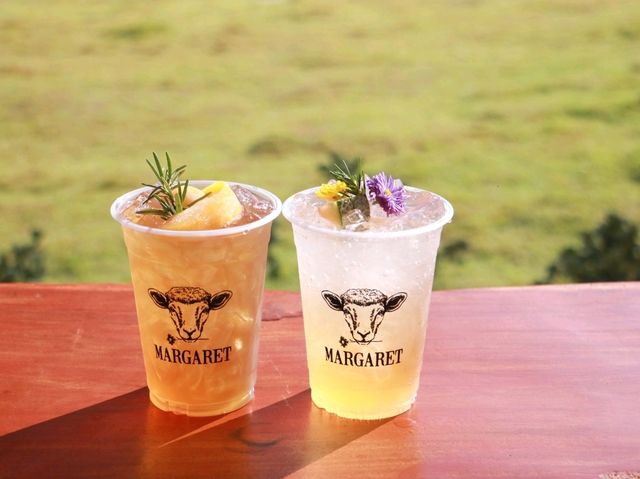 เที่ยวชมทุ่งคอสมอสที่ Margaret Private Villa 