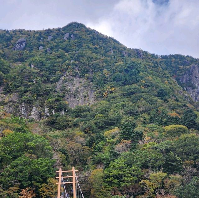 우리나라에서 가장 높은산 한라산을 가보자