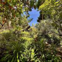 Explore the Tranquility of Wat Pha Lat