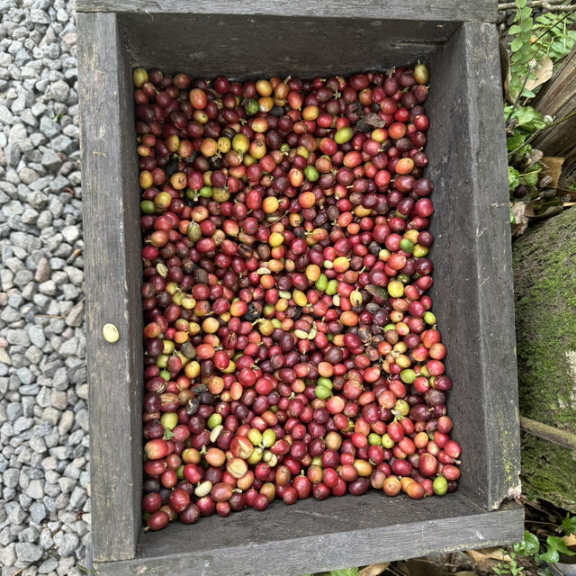 Part of heaven on the Earth