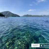 หมู่เกาะสุรินทร์สวรรค์นักดำน้ำ🐠🐋🌴🐬✨