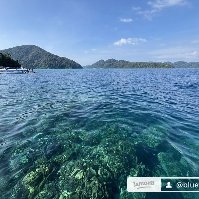 หมู่เกาะสุรินทร์สวรรค์นักดำน้ำ🐠🐋🌴🐬✨