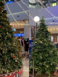 크리스마스 트리를 볼 수 있는 부산 여행지!🎄