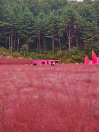 가을 핫플 1순위