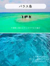 【西表島】楽しいアクティビティを紹介✨
