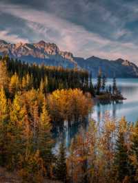 3 Reasons to Visit David Thompson Country in Alberta  