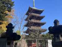 🇯🇵 【上野東照宮】