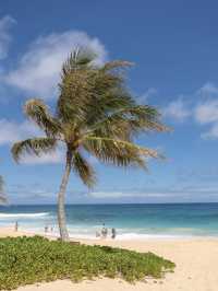 Sandy Beach: Oahu’s Wave-Rider’s Paradise