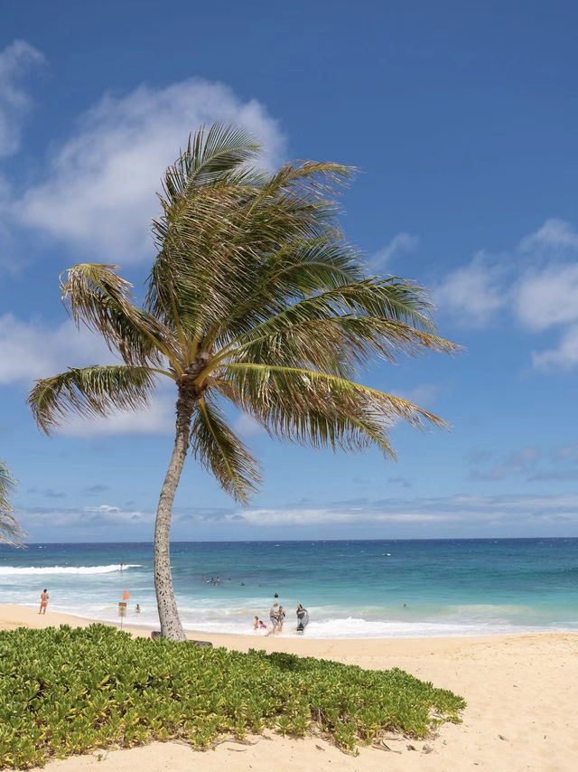 Sandy Beach: Oahu’s Wave-Rider’s Paradise