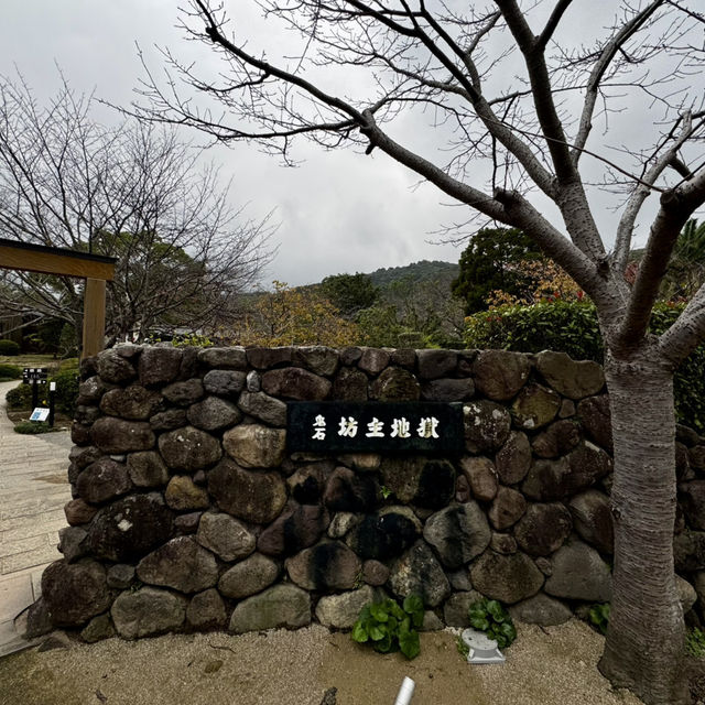 Beppu Hot Springs Hells Tour
