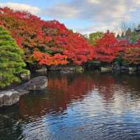 姬路城西御屋敷跡庭園〔好古園〕紅葉絕景  