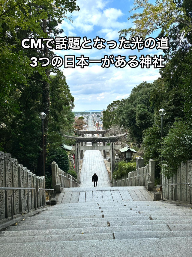 CMで話題となった光の道  3つの日本一がある神社
