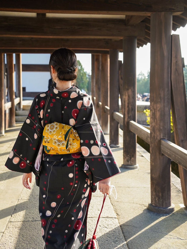 【京都🇯🇵】着物を着て、秋の東福寺を満喫しよう🤍