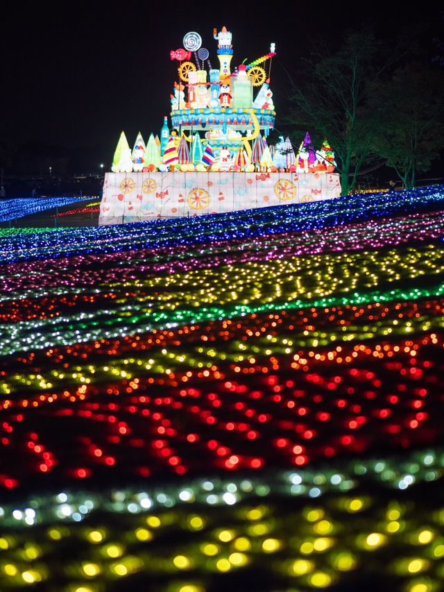 【1000円で楽しめる！✨】東京ドイツ村のイルミネーションが充実すぎる！🎄🎵