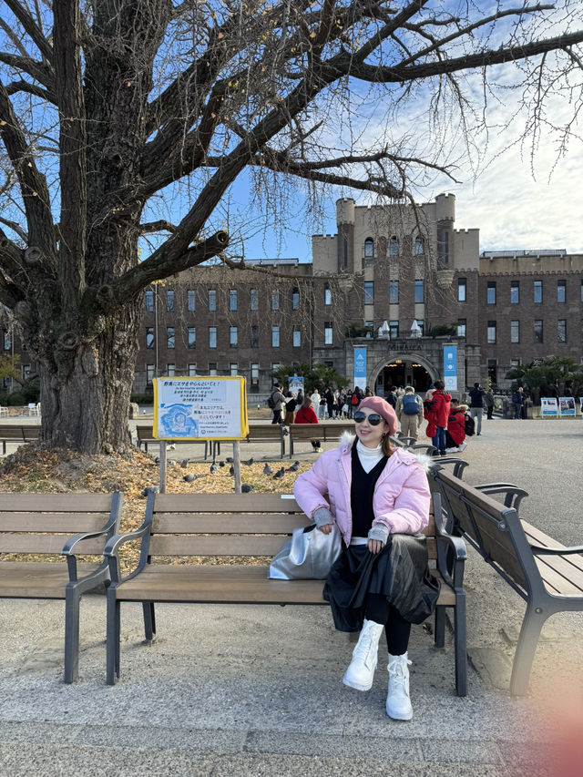 The beauty of Osaka historical Castle Park