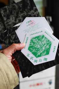 玄武洞公園，親眼所見才能感受它的震撼!