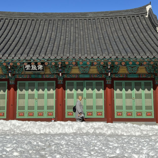 겨울여행지 추천! 설산이 멋진 설악산케이블카 여행🏔️