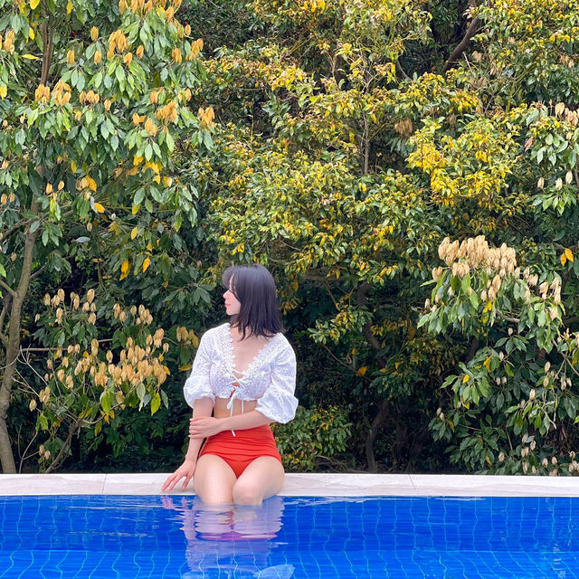 인피니트풀이 너무 예쁜 제주도 호텔 머큐어 앰배서더 🌿