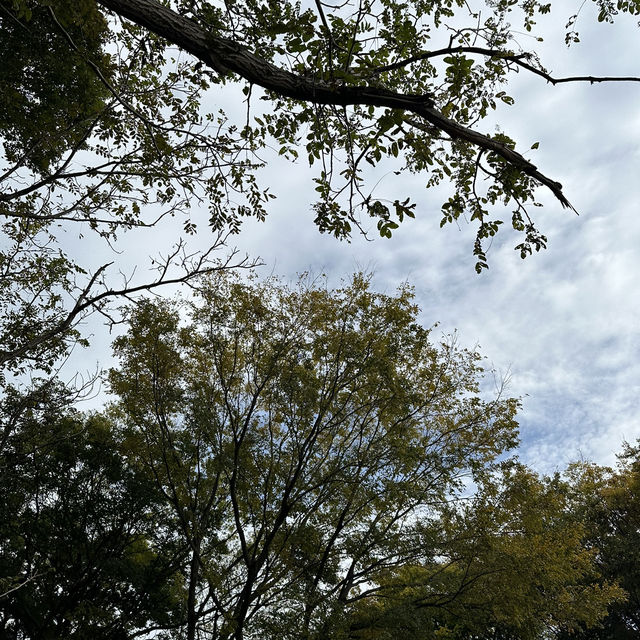 【愛知観光】自然と触れ合える癒しのスポット🫶🏻