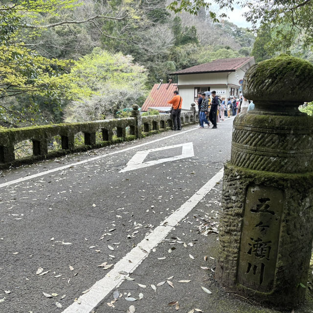 ## 高千穗：神話與自然交織的聖地⛩️