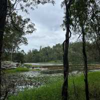 ～Ryton Pools Country Park～綠色世界～