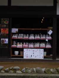 【大内宿】江戸時代にタイムスリップ！名物一本ネギ蕎麦🥢