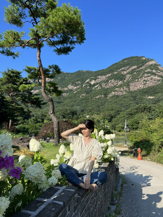 고즈넉한 한옥, 수국이 예쁜 포천 가비가배 카페 ☕️
